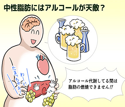 中性脂肪にはアルコールが天敵？