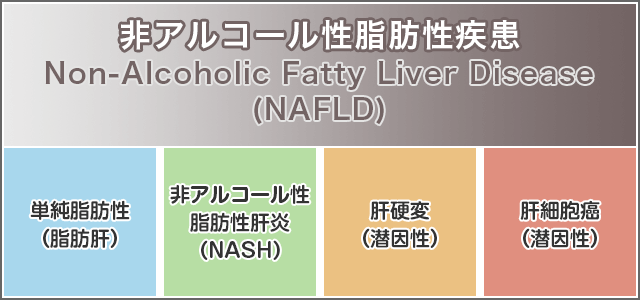 非アルコール性脂肪性肝疾患