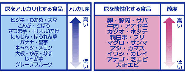 高尿酸血症の病型分類