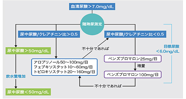 尿酸値が高くても痛風を起こさない人もいる？