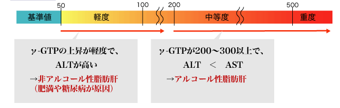 γ-GTP … アルコール飲み過ぎ度をチェックする