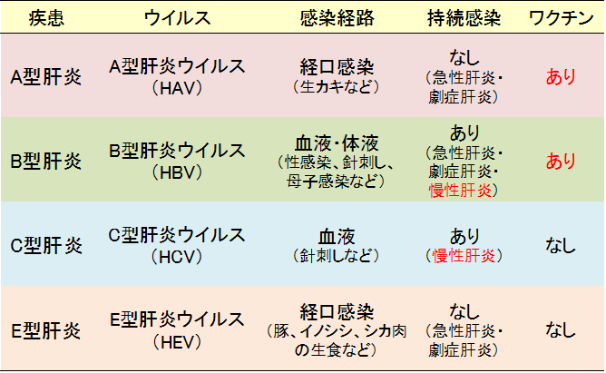 ① ウィルス性肝炎(A型、B型、C型、E型肝炎、EBウイルス)
