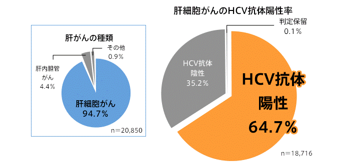 【C型肝炎ウイルス】