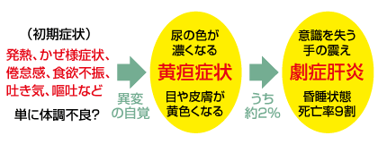 【急性肝炎・劇症肝炎の経過】