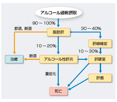 ② アルコール性肝障害