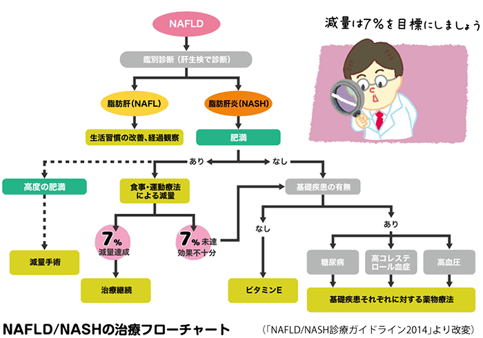 ③ 非アルコール性 脂肪肝NAFLD(Non Alcoholic Fatty Liver Disease)、脂肪性肝炎(NASH)