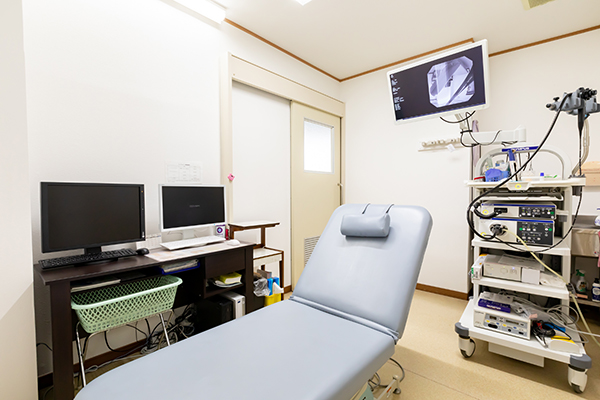 胃カメラ・大腸カメラをもっと身近に。早期発見のための内視鏡検査